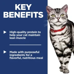 Salmon & Vegetables Stew Indoor Adult Cat Food