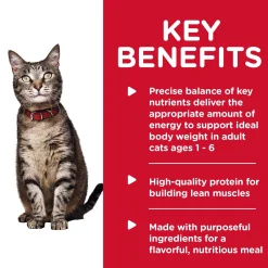 Savoury Turkey Entree Adult Cat Food