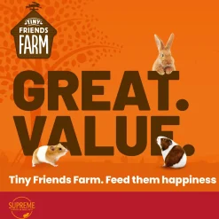 Scrummies Gerty Guinea Pig Treats