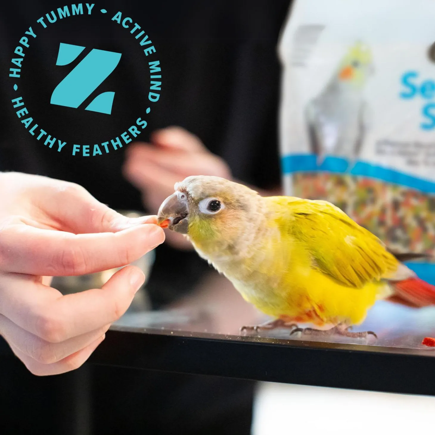 Sensible Seed Large Bird Food