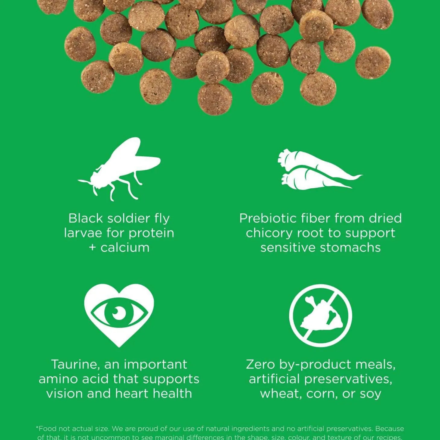 Sensitivities Limited Ingredient Grain-Free Insect Recipe Adult Dog Food