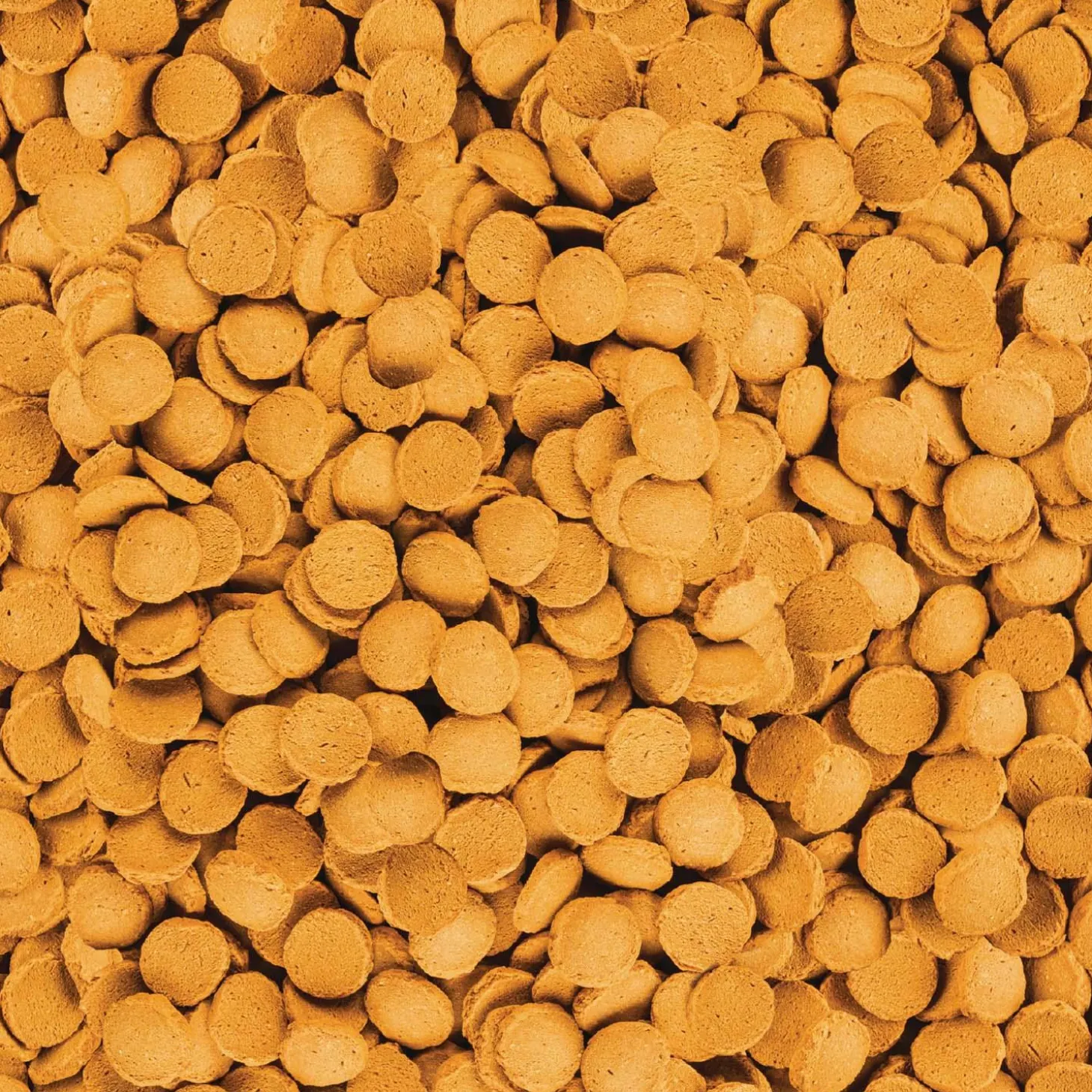 ShrimpWafers Fish Food