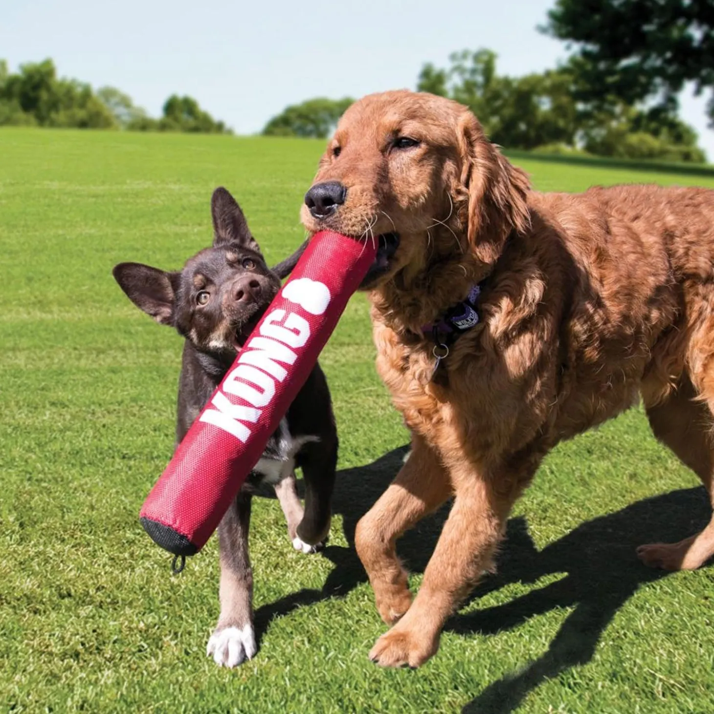 Signature Stick Dog Toy