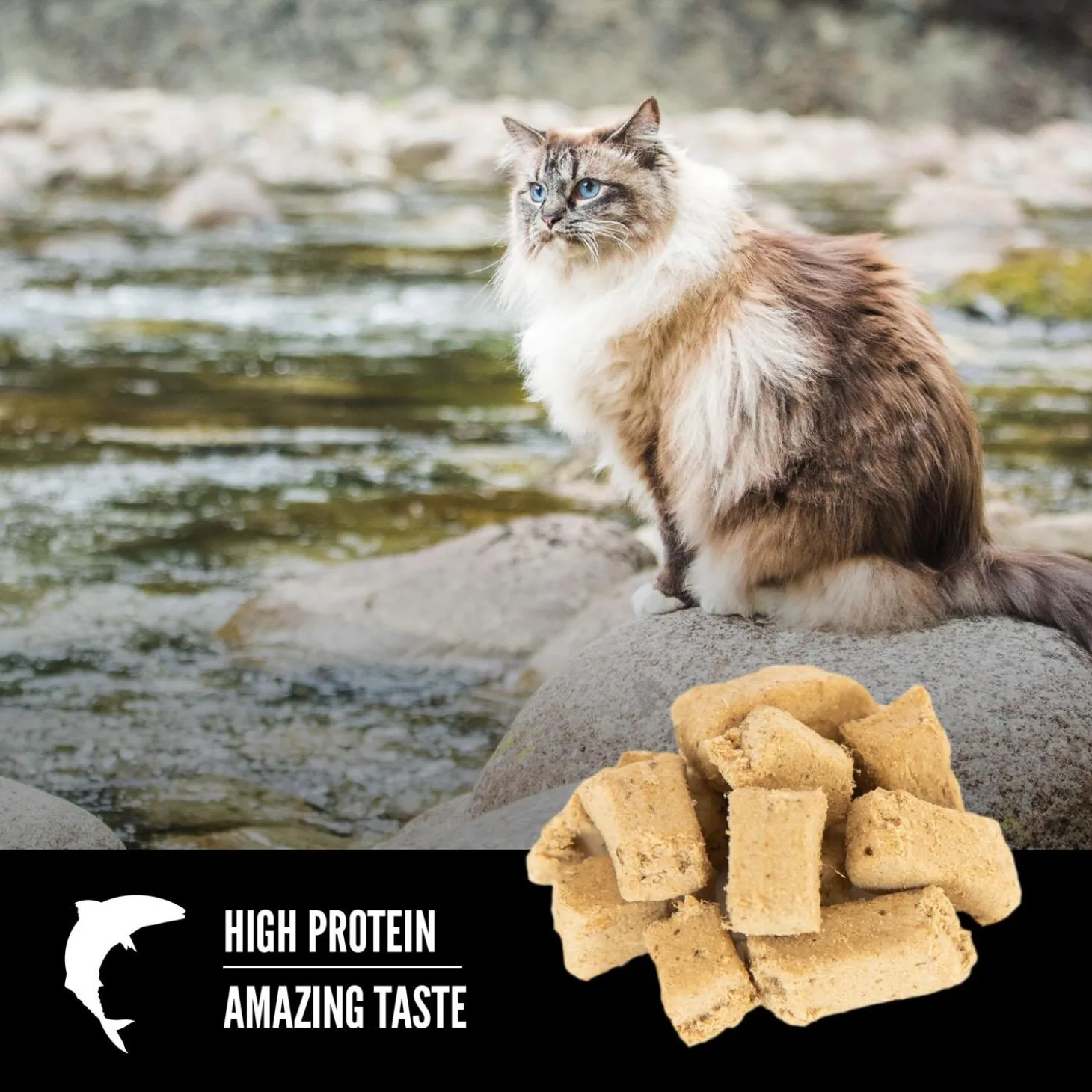 Six Fish Freeze-Dried Cat Treats
