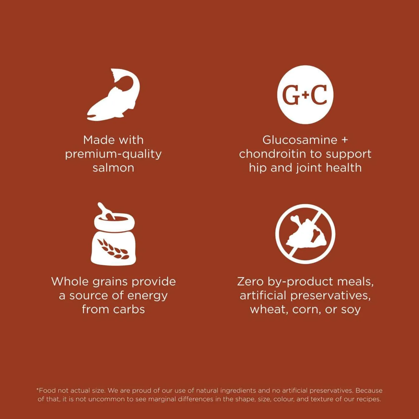 Skin + Coat Salmon With Grains Recipe Large Breed Adult Dog Food