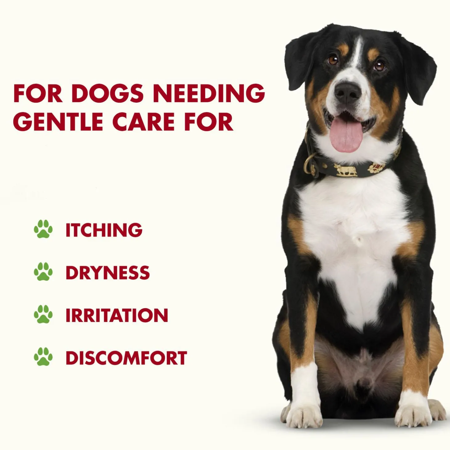 Skin & Coat Support Pot Roast Flavour Dog Supplement