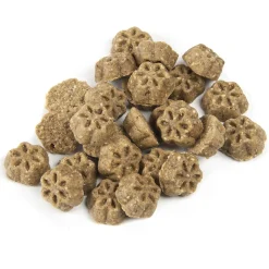 Skinny Minis Soft Apple Bacon Flavour Dog Treats
