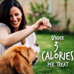 Skinny Minis Soft Grilled Bison Flavour Dog Treats