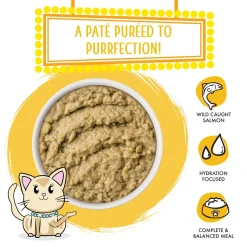 Slide N' Serve Pate The Slice is Right Wild Caught Salmon Dinner Cat Food