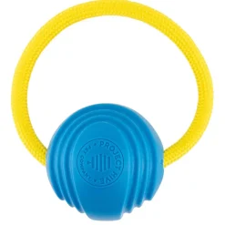 Small Looped Ball Pink & Blue Dog Toy