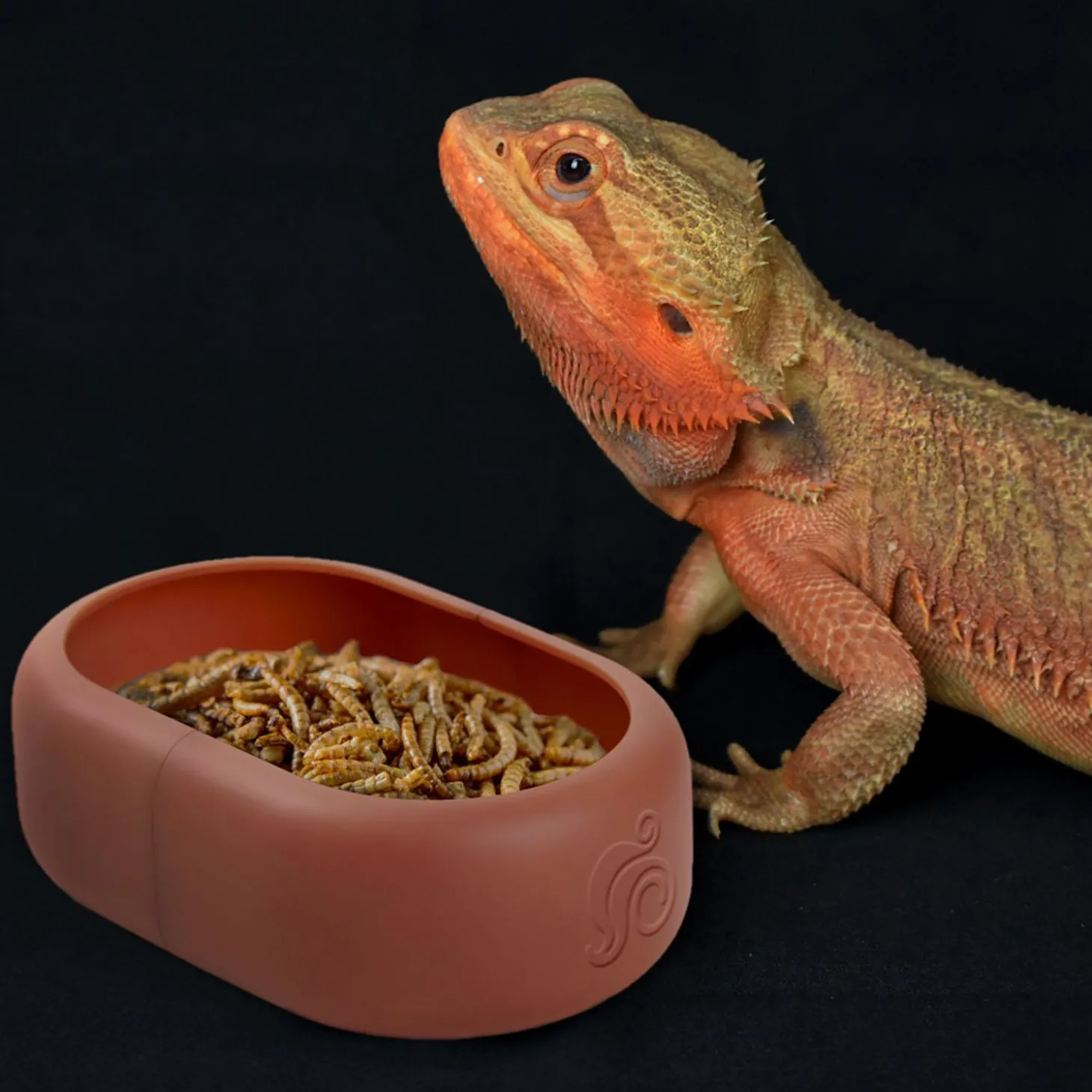 Smart Dish