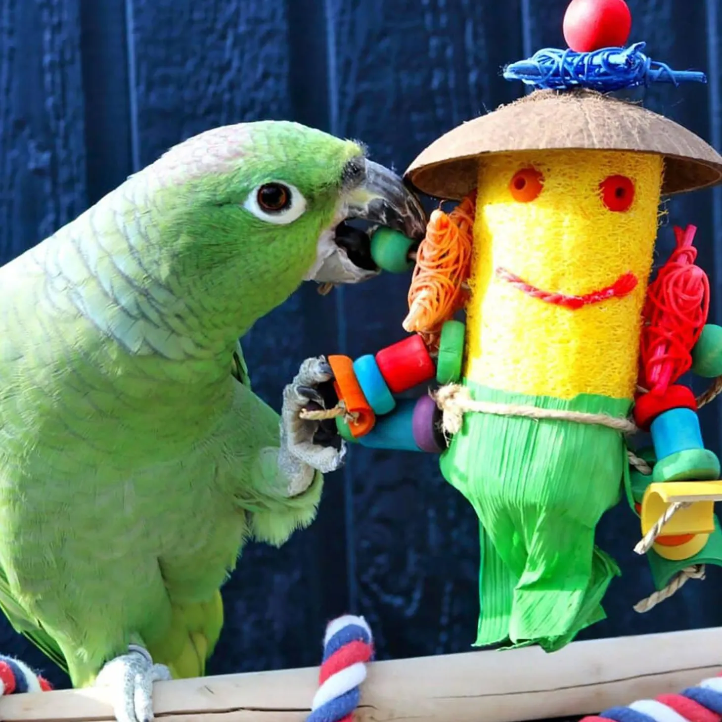 Smart.Play Loofah Man Enrichment Parrot Toy