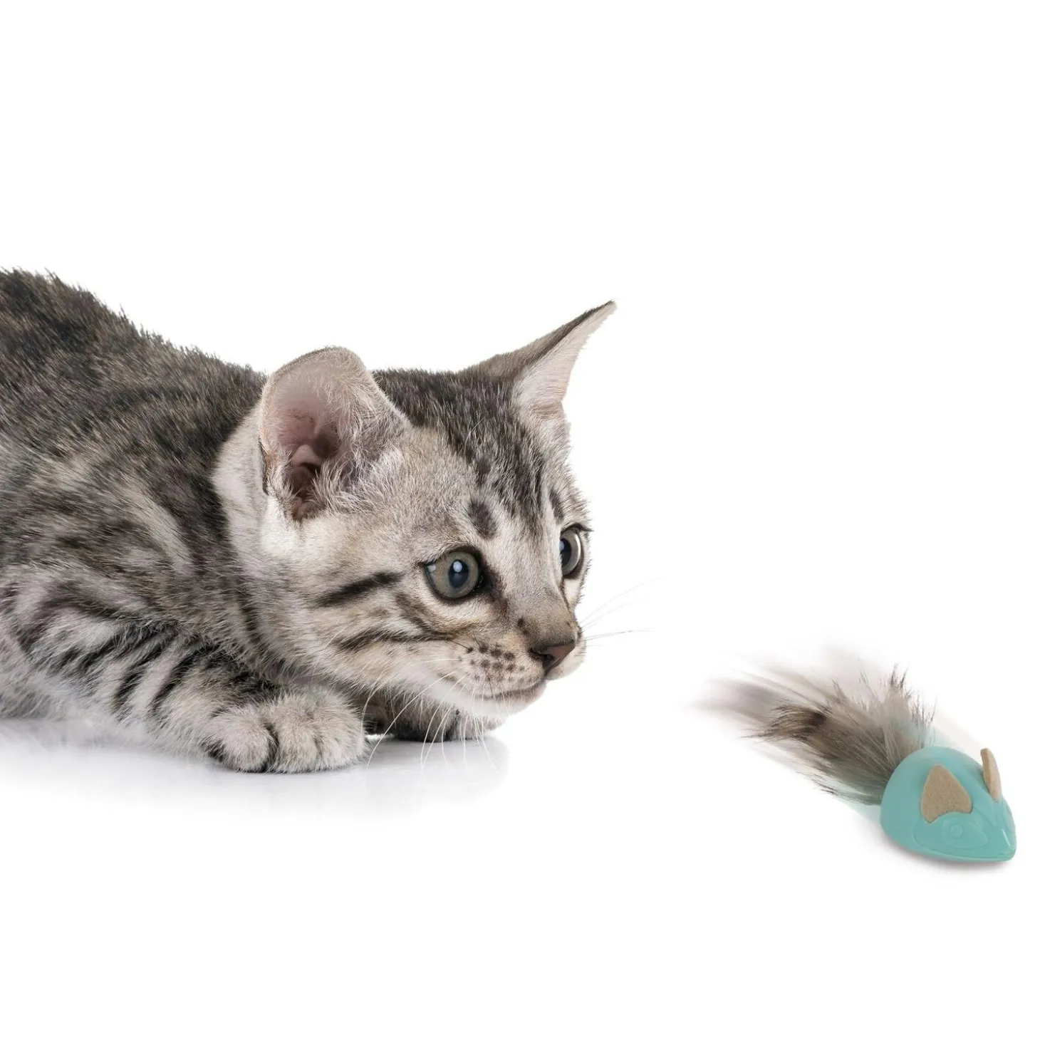 Sneaky Slider Cat Toy