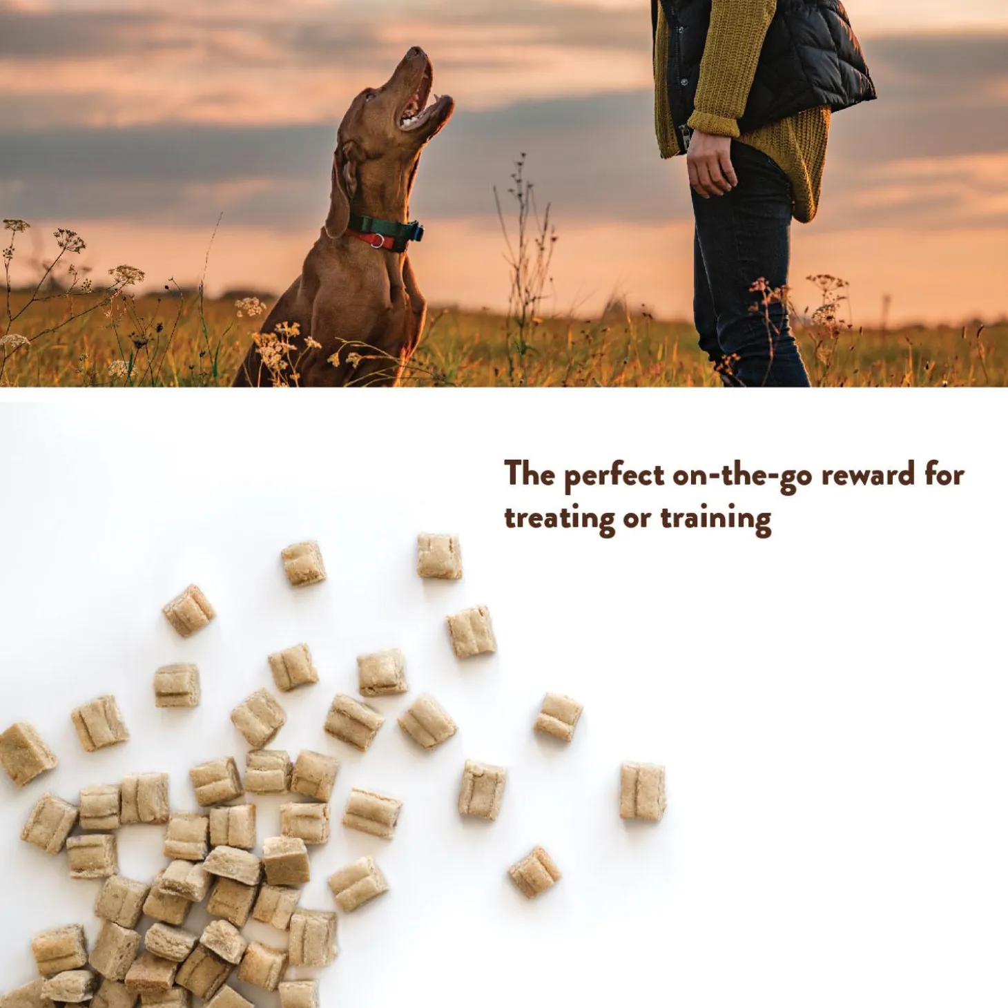 Softies PB & Bacon Dog Treats