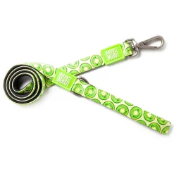 Soft Padded Neoprene 1in Kiwi Dog Leash
