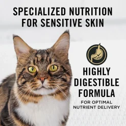 Specialized Sensitive Skin & Stomach Lamb & Rice Adult Cat Food