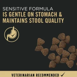 Specialized Sensitive Skin & Stomach Salmon & Rice Formula Adult Dog Food