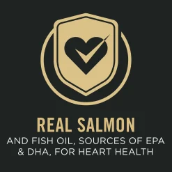 Specialized Sensitive Skin & Stomach Salmon & Rice Large Breed Adult Dog Food