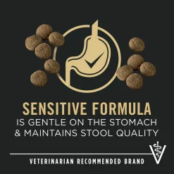 Specialized Sensitive Skin & Stomach Salmon & Rice Large Breed Adult Dog Food