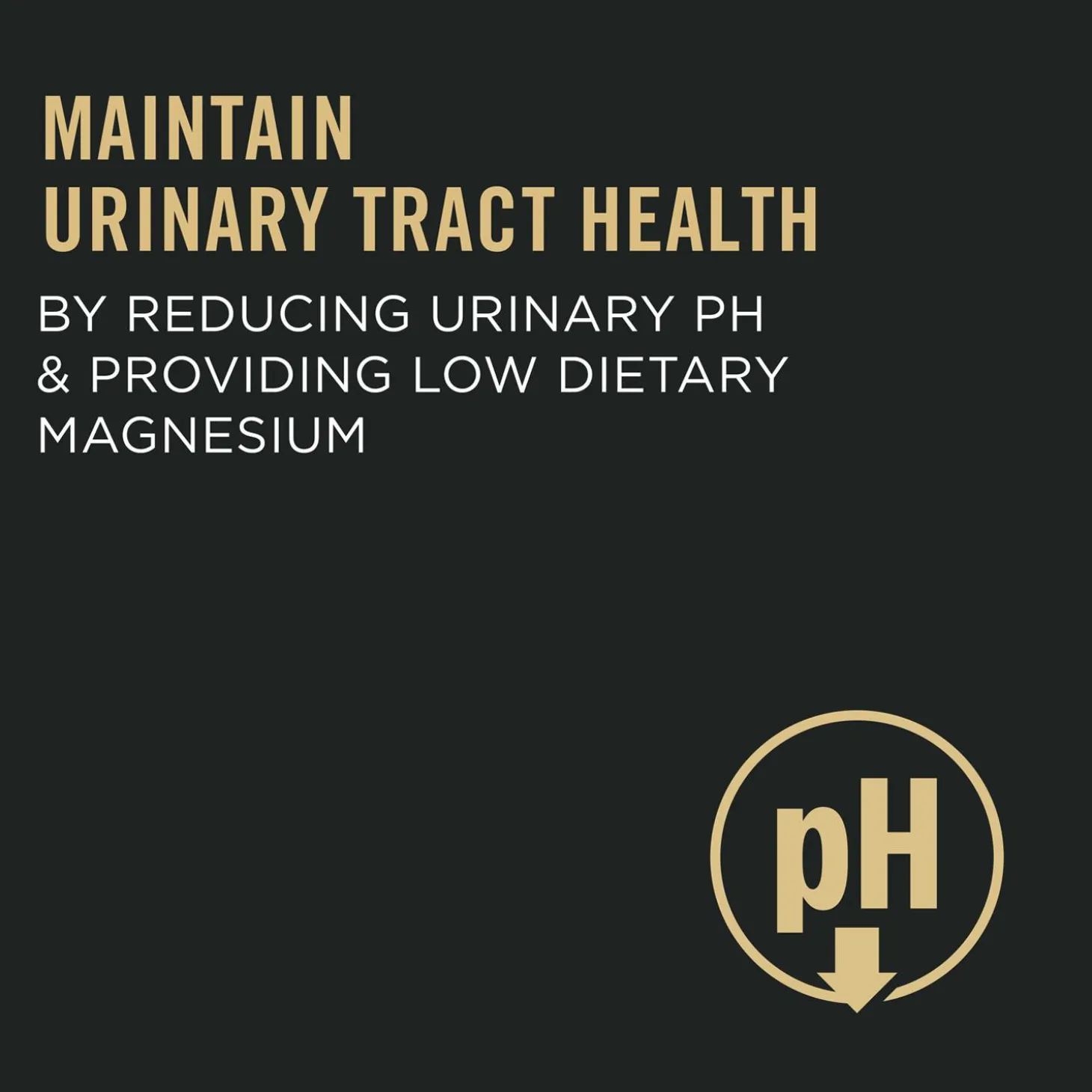 Specialized Urinary Tract Health Chicken & Rice Formula Adult Cat Food
