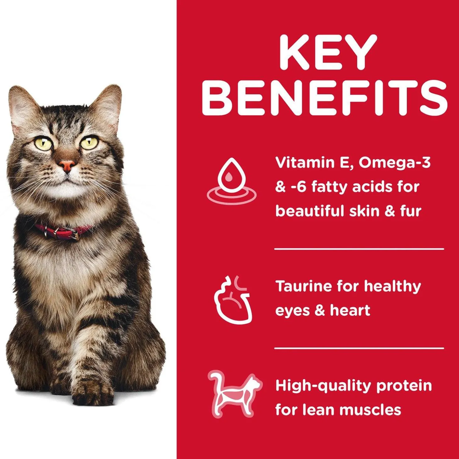 Specialty Hairball Control Chicken Recipe Adult 7+ Cat Food