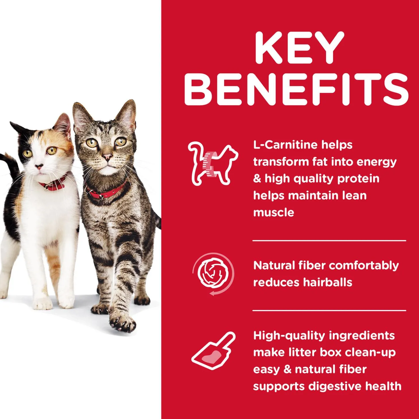 Specialty Multiple Benefit Chicken Recipe Adult Cat Food