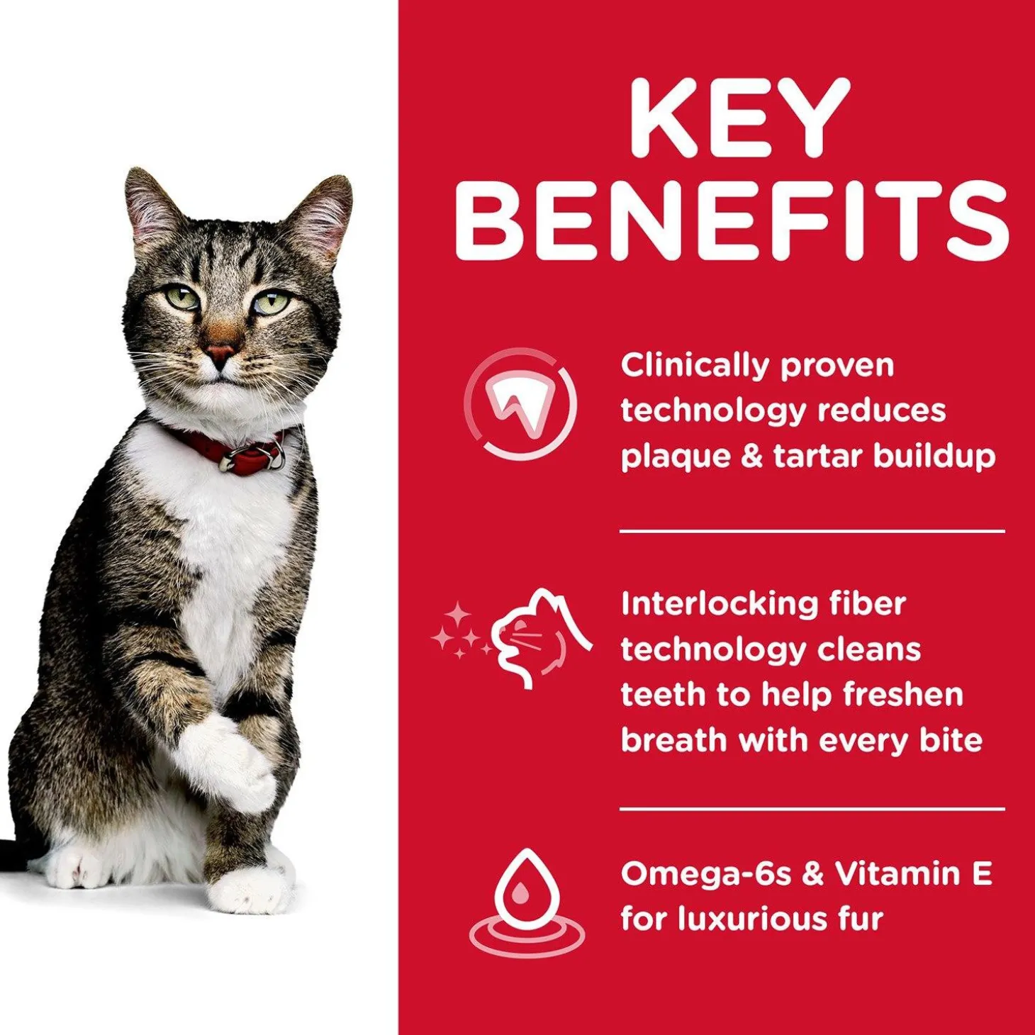 Specialty Oral Care Chicken Recipe Adult Cat Food