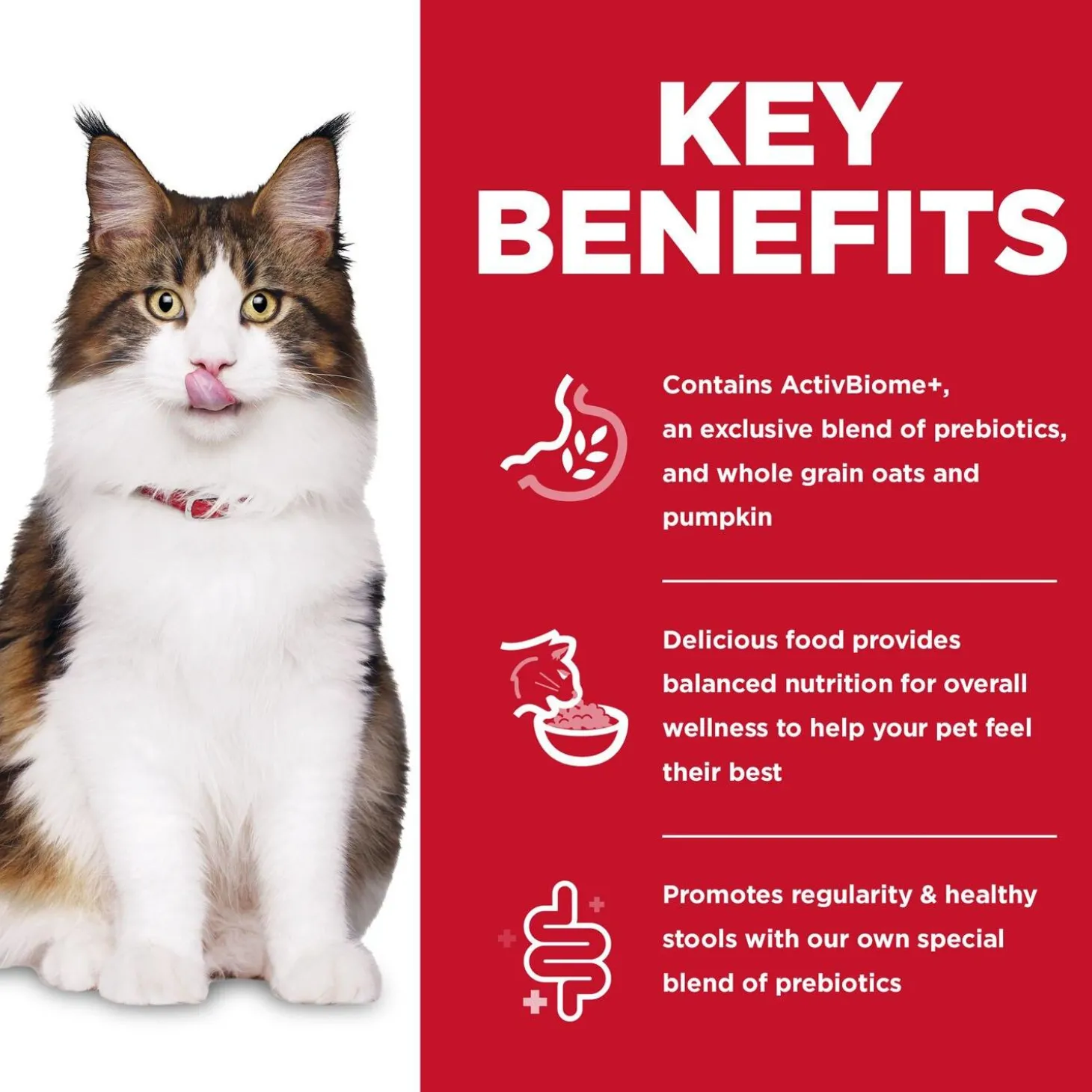 Specialty Perfect Digestion Chicken, Barley & Whole Oats Recipe Cat Food