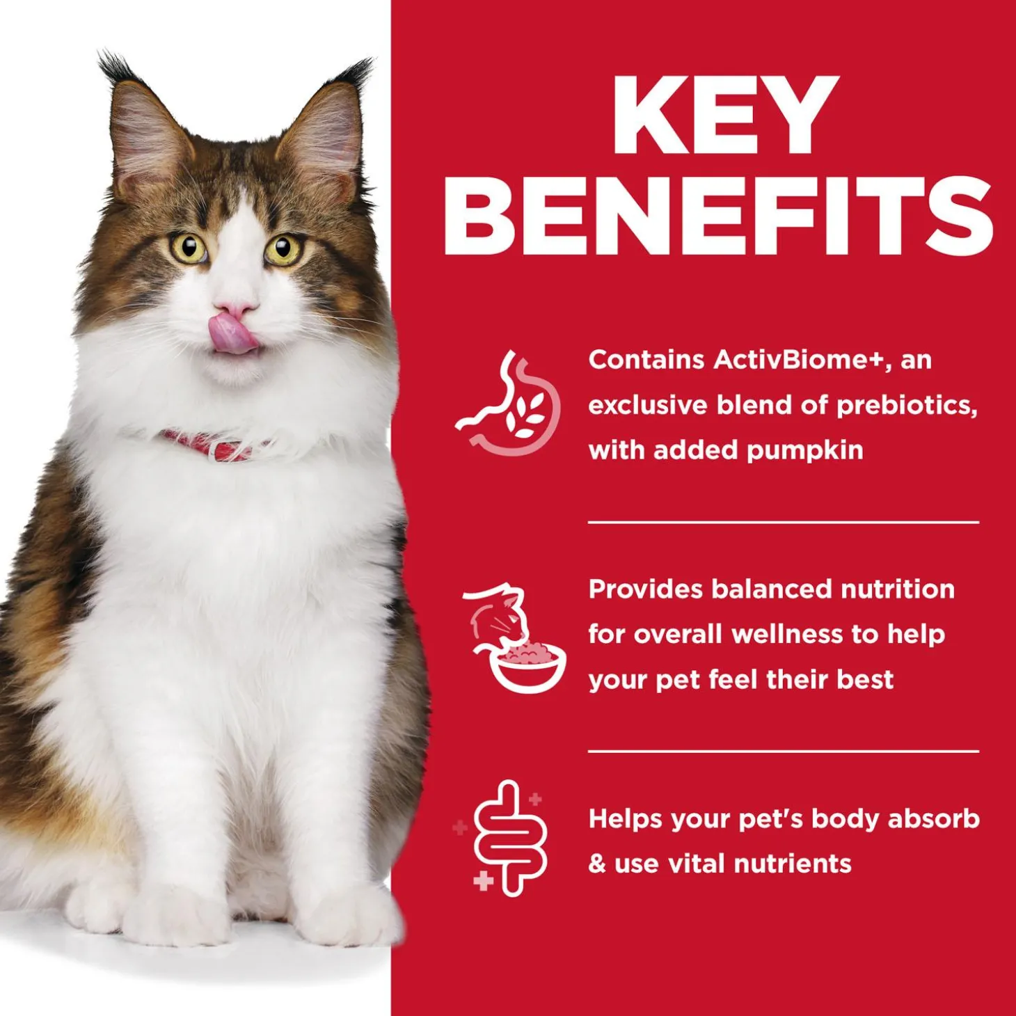 Specialty Perfect Digestion Chicken, Vegetable & Rice Stew Adult Cat Food