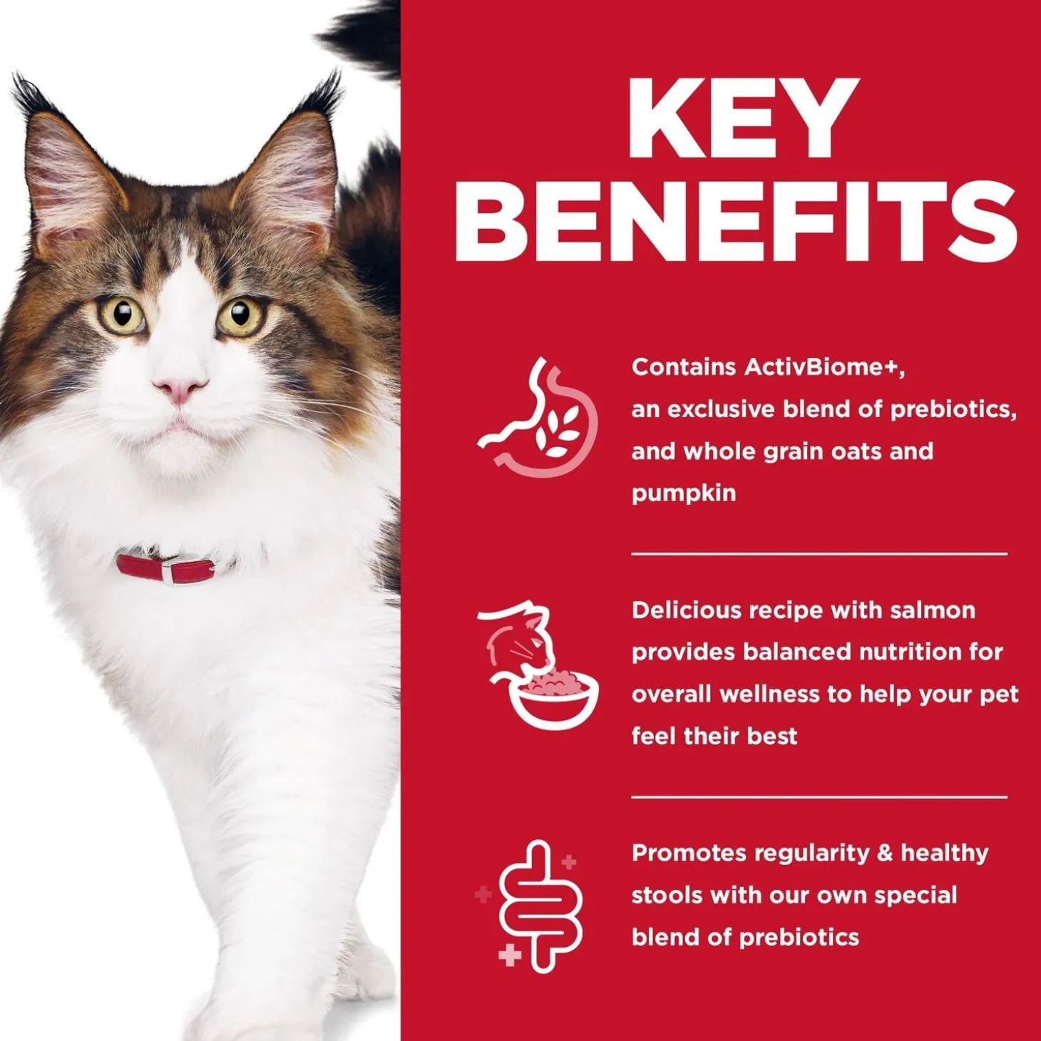 Specialty Perfect Digestion Salmon, Brown Rice & Whole Oats Recipe Adult Cat Food