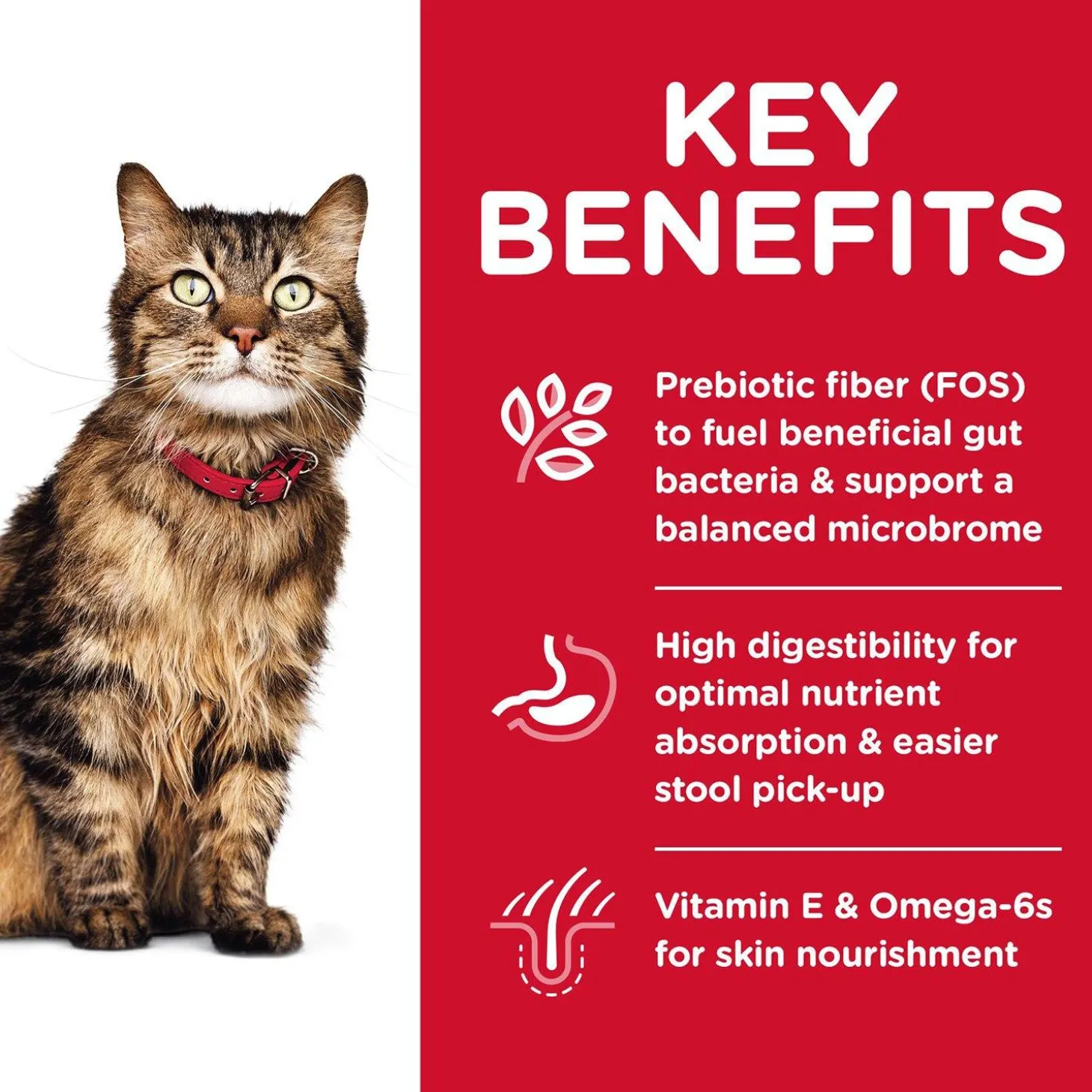 Specialty Sensitive Stomach & Skin Chicken & Rice Recipe Adult Cat Food