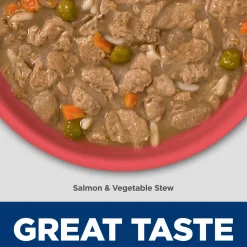 Specialty Sensitive Stomach & Skin Salmon & Brown Rice Recipe Kitten Cat Food