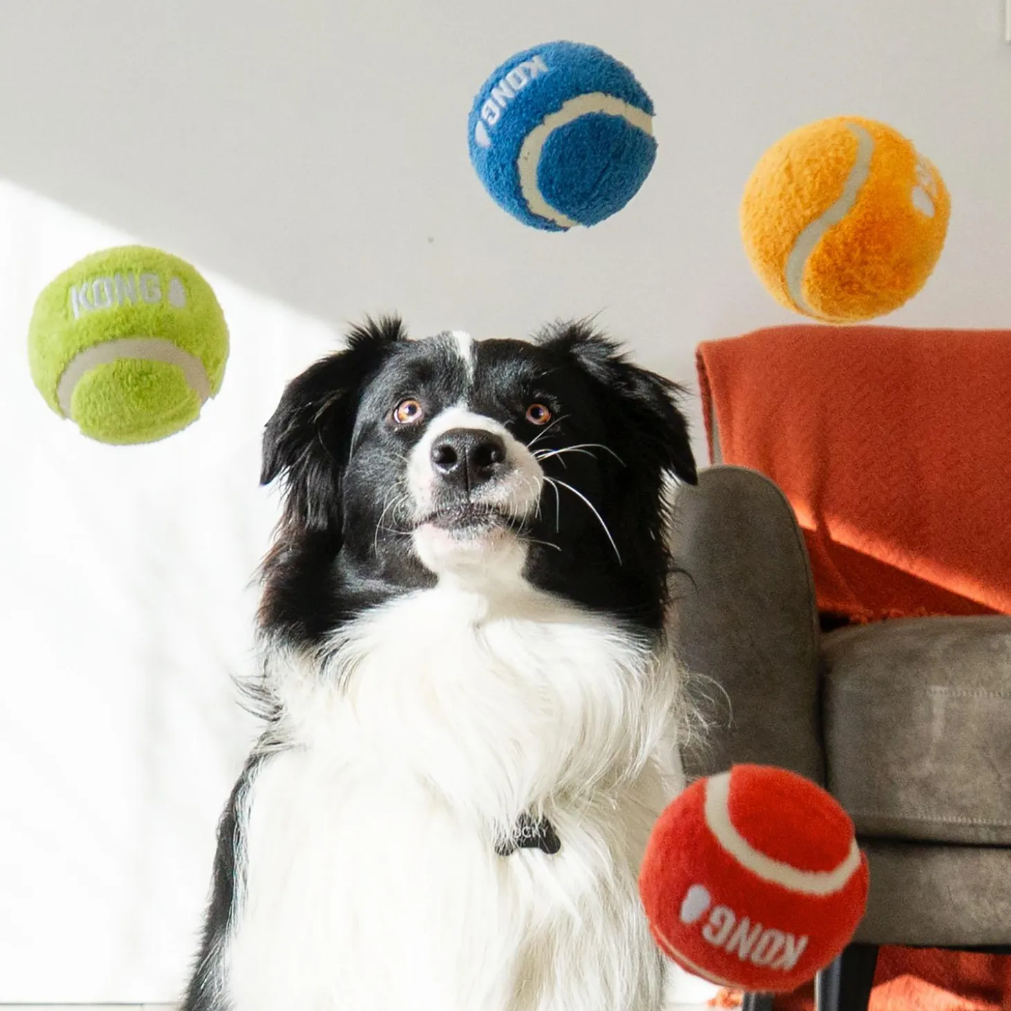 Sport Softies Balls 3 Pack Dog Toys