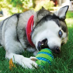 Squeezz Goomz Football Dog Toy
