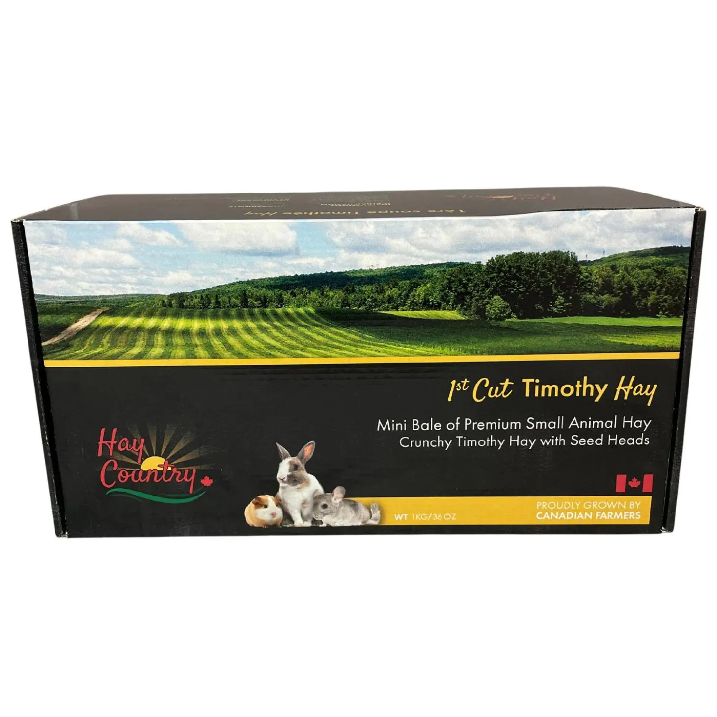 1st Cut Timothy Hay Mini Bale Small Animal Hay
