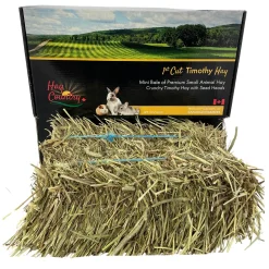 1st Cut Timothy Hay Mini Bale Small Animal Hay