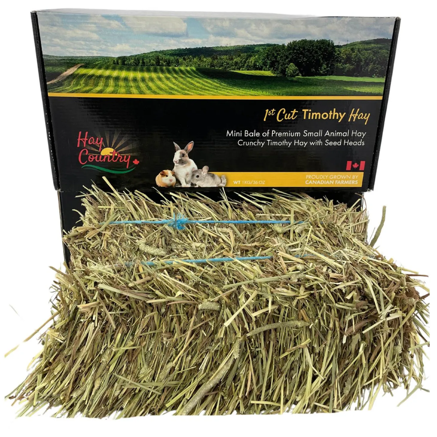 1st Cut Timothy Hay Mini Bale Small Animal Hay