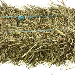 1st Cut Timothy Hay Mini Bale Small Animal Hay