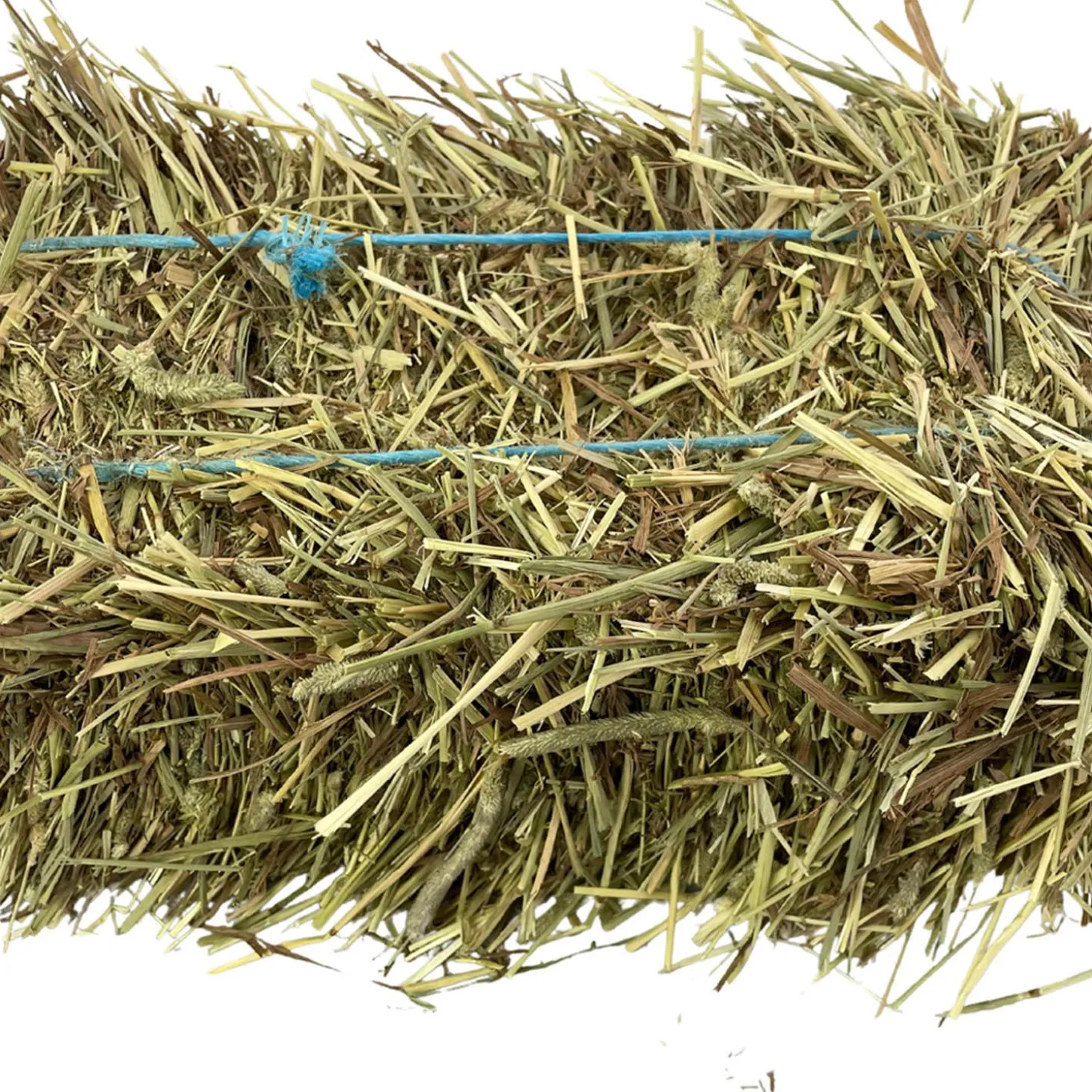 1st Cut Timothy Hay Mini Bale Small Animal Hay