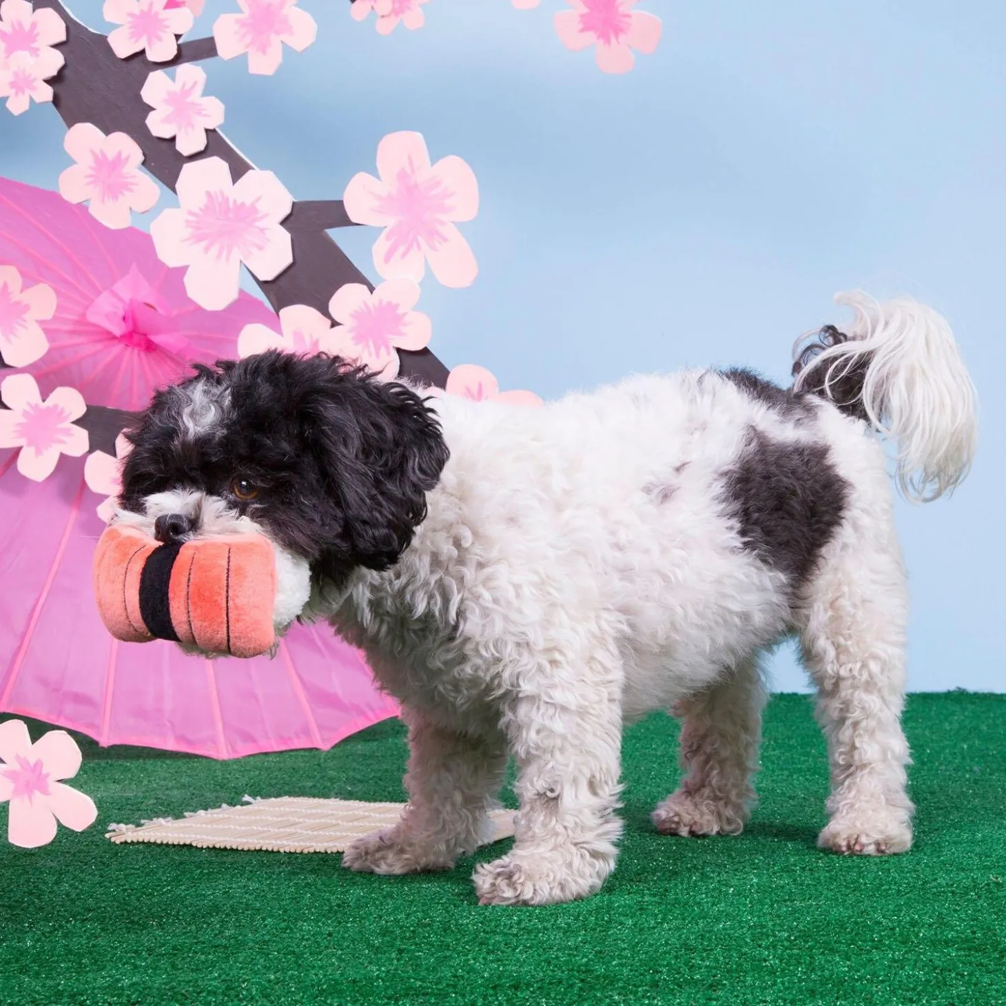 Super Tasty Tuna Sushi Dog Toy