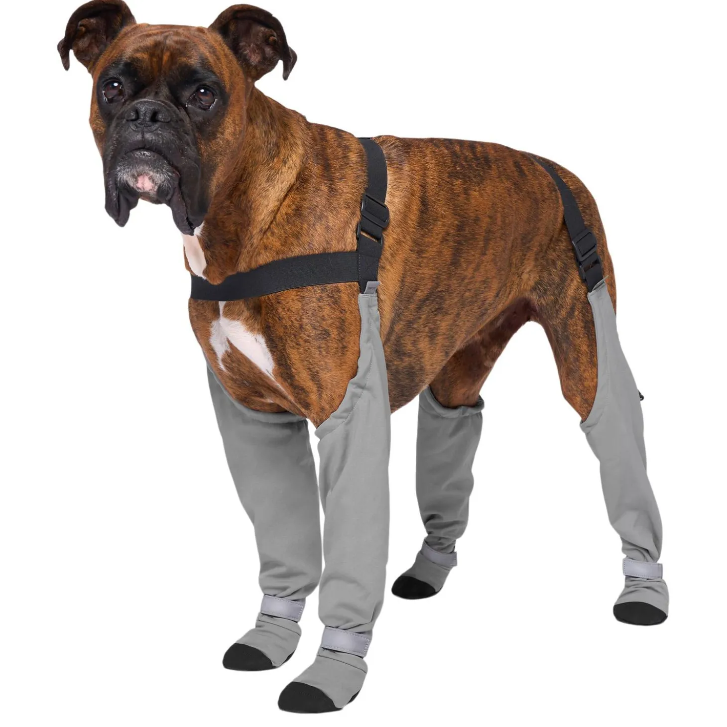 Suspender Long Grey Dog Boots