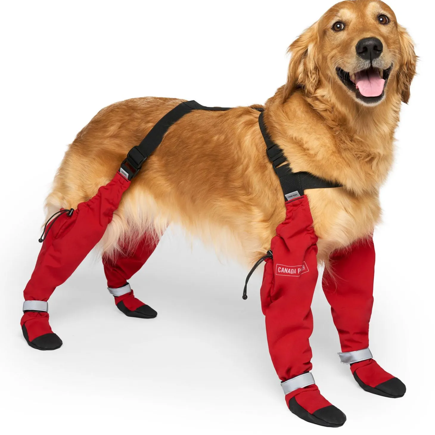 Suspender Long Red Dog Boots