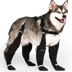 Suspender Short Black Boots