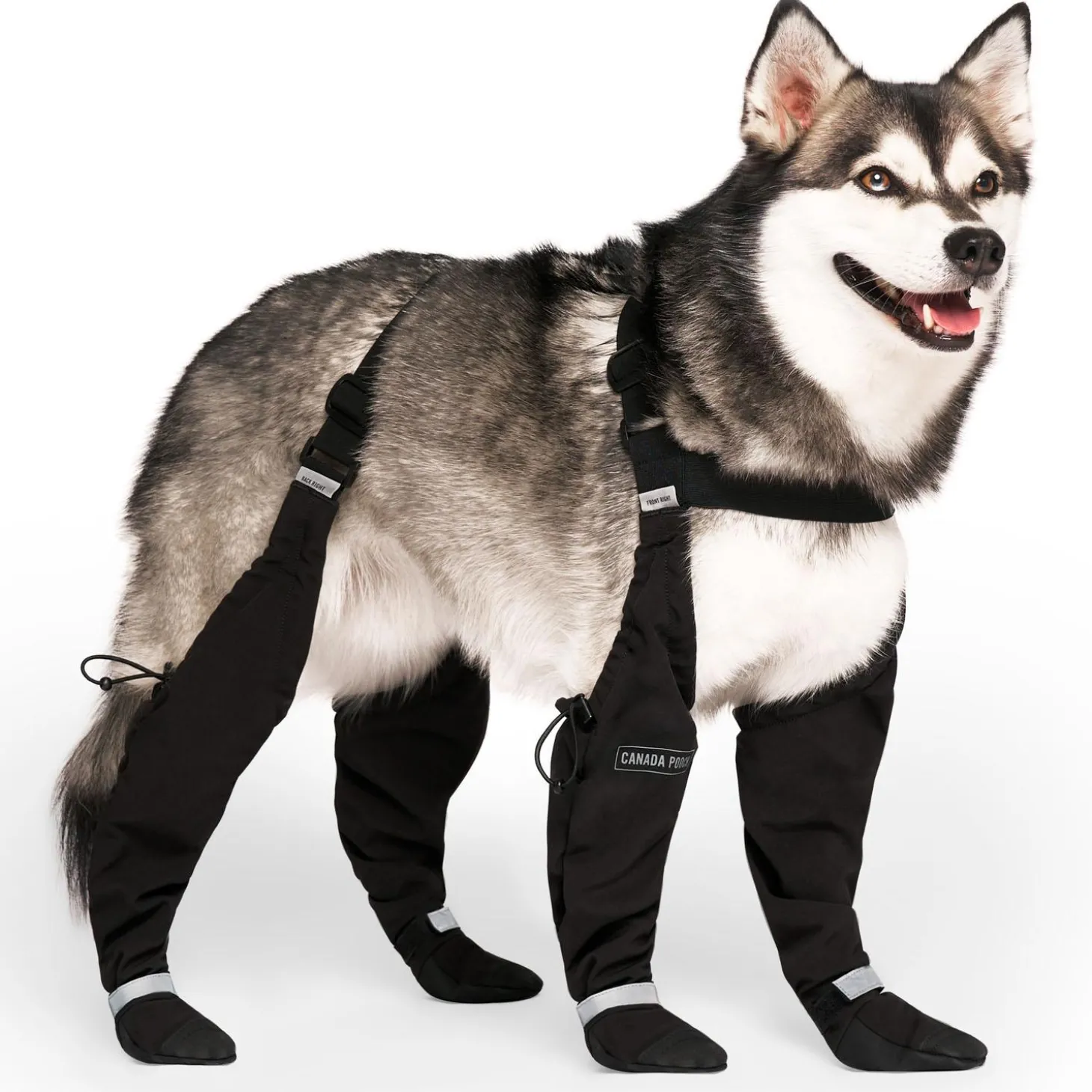 Suspender Short Black Boots