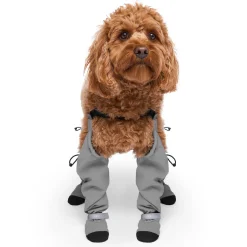 Suspender Short Grey Dog Boots