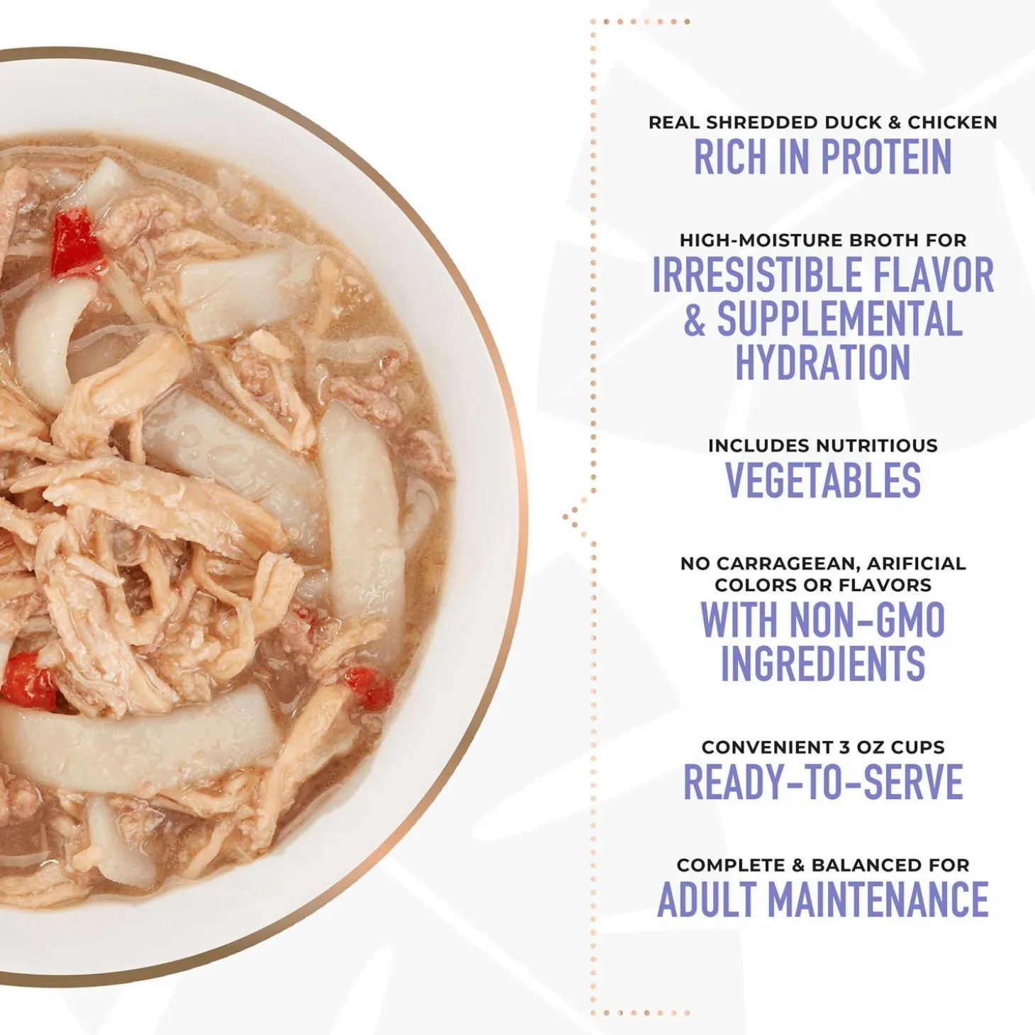 Taste of the World Asia Peking Duck Recipe in Broth Adult Dog Food