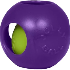Teaser Ball Blue Dog Toy