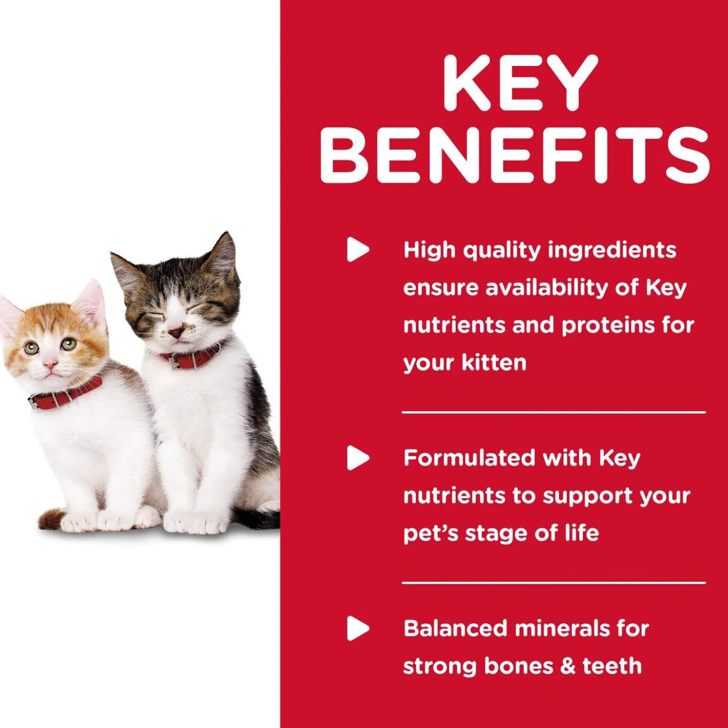 Tender Chicken Dinner Kitten Cat Food