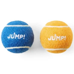 Tennis Ball Dog Toy