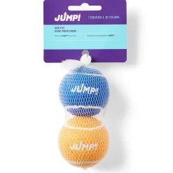 Tennis Ball Dog Toy
